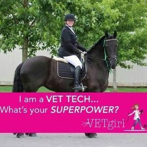 Meet your Posher, Constance